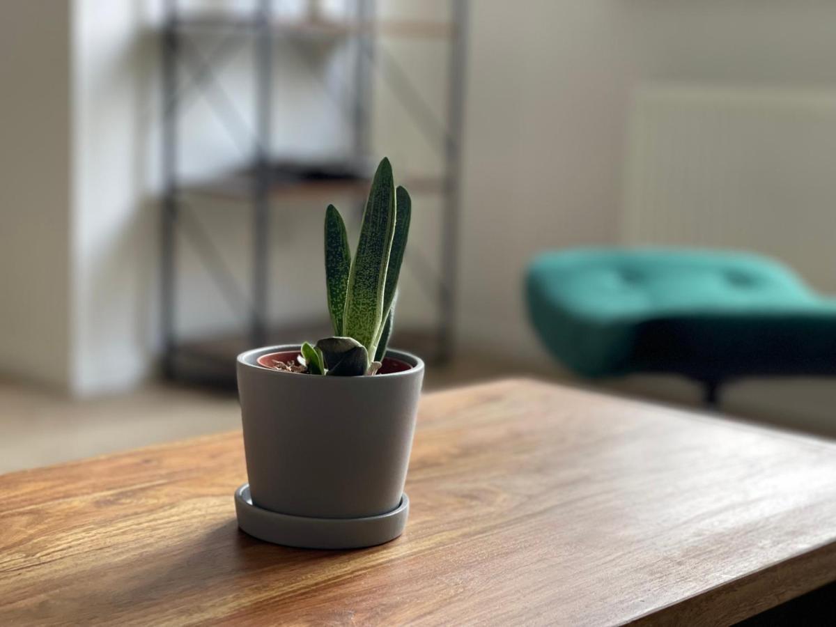 Apartmán Modern * Zentral * Netflix * Arbeitsplatz Wuppertal Exteriér fotografie